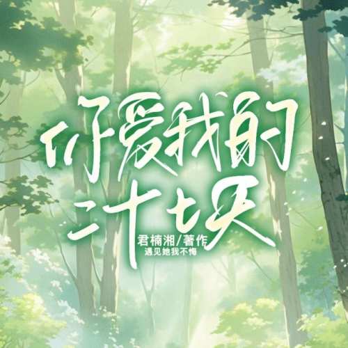 你爱我的二十七天