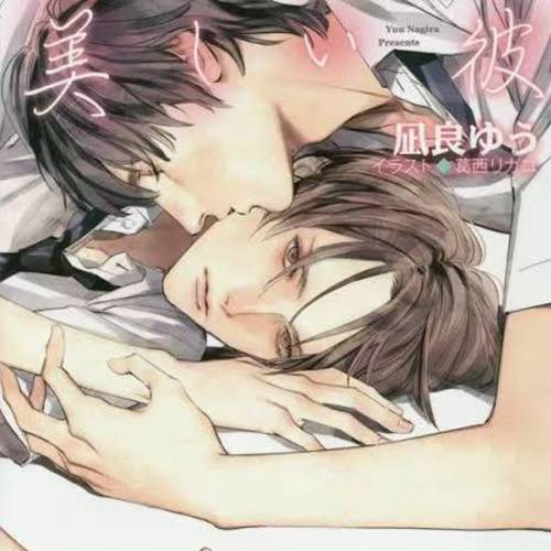 美丽的他（美しい彼)